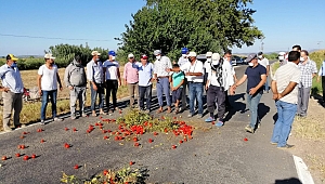 ÇİFTÇİNİN EMEĞİNİ ÇALIYORLAR!