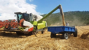 ÇKS Başvuruları 1 Eylül’e Kadar Uzatıldı