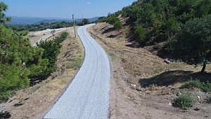 Muhtar Talep Etti, Çanakçı’da Yol Sorunu Çözüldü
