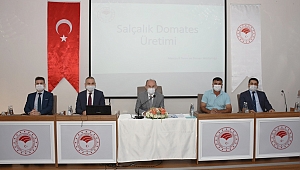 Salçalık Domateste Yaşanan Sorunlar Masaya Yatırıldı