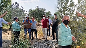 Hasat Öncesinde Zeytin Üreticilerine Ziyaret