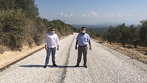 Yol Çalışması Zeytin Üreticisini Mutlu Etti