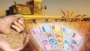 AKHİSAR İLÇE TARIM VE ORMAN MÜDÜRLÜĞÜ BİLGİLENDİRİYOR