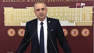 BERAT ALBAYRAK VARLIK FONU BAŞKANVEKİLLİĞİNDEN İSTİFA EDECEK Mİ?