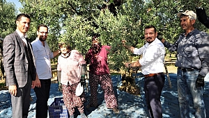 İYİ Partili Eryılmaz, zeytin üreticilerinin sorunlarını yerinde dinledi