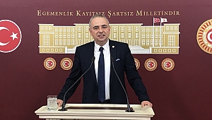 TARIM BÜTÇESİNDE ZEYTİN ÜRETİCİSİ YOK