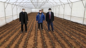 Kula’da Seralar Kuruldu, Üretim Başladı