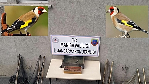 JANDARMA YASAK AVCILIK YAPANLARA GÖZ AÇTIRMIYOR