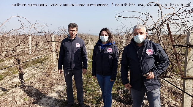 Bağ Üreticilerine Sahada ve Dijital Medya Üzerinden Teknik Destek Devam Ediyor..