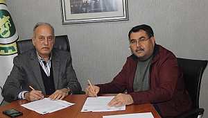 Akhisar Uslu ve Akhisar Domat Zeytinlerinin Coğrafi İşaret Kullanımı Artıyor