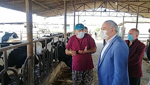 Hayvan Sayılarındaki Tutarsızlık Meclis Gündeminde