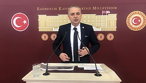 Pamuk Tohumunda GDO Riski