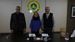 Akhisar Uslu ve Akhisar Domat Zeytinlerinin Coğrafi İşaret Kullanımı Artıyor