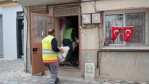 Budanan ağaçlar ihtiyaç sahiplerine yakacak oluyor