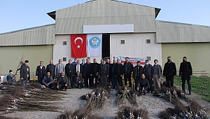 Büyükşehir'den 4 İlçeye 9 Bin 540 Fidan Desteği