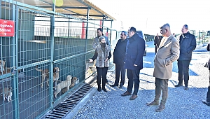 Akhisar Belediyesi Doğal Yaşam Alanı hizmete başladı