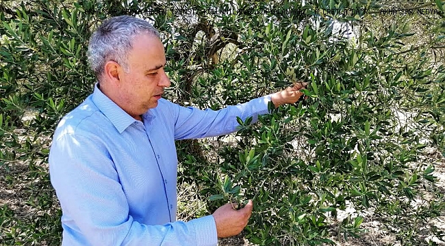 Tarımın Sağlığı Tehlikede