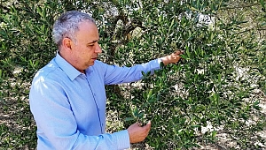 Tarımın Sağlığı Tehlikede