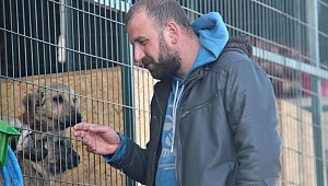 Akhisar Belediyesi'nden, sokak hayvanı sahiplenenlere kulübe hediyesi