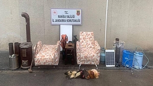 HIRSIZLAR YAKALANDI
