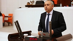 Ormanlar AKP’nin Baskısı ve Yıkımı Altında