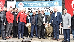 Büyükşehir’den Hayvan Üreticisine Büyük Destek