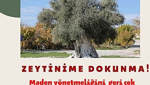 ÇEVRE ÖRGÜTLERİ ZEYTİN İÇİN MEYDAN'DA