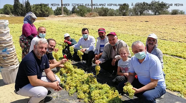 Savaş Manisa’nın Bağlarını Vuracak