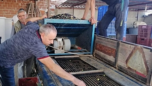 Zeytinyağı İhracat Yasağını Kaldırılsın
