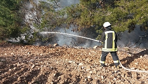Akhisar’da Ormanlık ve Zeytinlik Alandaki Yangına Müdahale