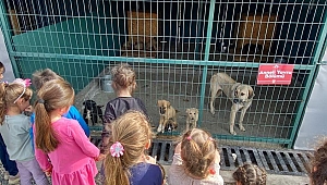 Miniklerden can dostlara ziyaret