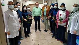 Ak Parti Hemşireler Gününü Kutladı