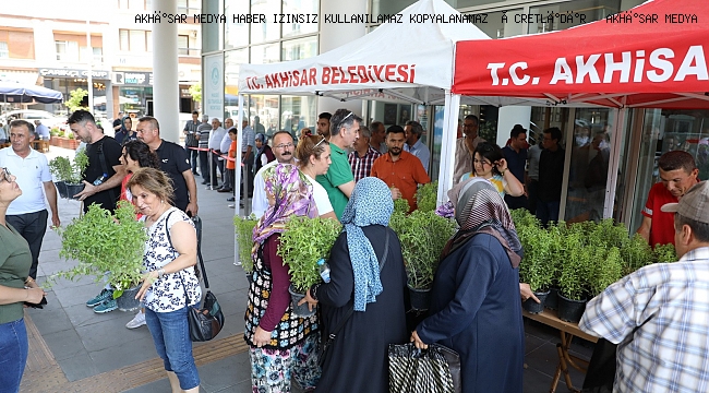 Akhisar Belediyesi kendi yetiştirdiği 5 bin fesleğeni halka dağıttı