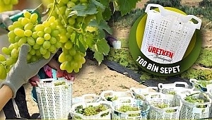 Üzüm Üreticisine 100 Bin Sepet Desteği