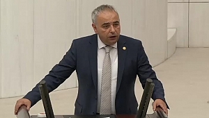 Zeytin Fiyatları Meclis Gündeminde