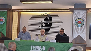 Zeytinlik Alanlarda İklim Değişikliğine Uyum ve Organik Gübre Önerisi Olarak “Yeşil Gübreleme”