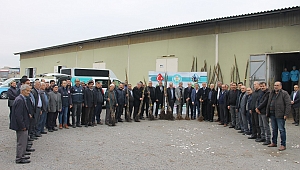 Kırsalda Üretim Yapan Çiftçilere Ceviz ve İncir Fidanları Dağıtıldı