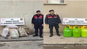 Jandarma Zeytin hırsızlarını Yakaladı