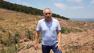 ORMANLARDA ACI BİLANÇO