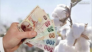 Tarımsal Destekler Bugün Ödenmeye Başlıyor