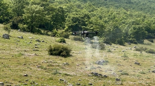  DRONE İLE ÇEKİRGE MÜCADELESİ
