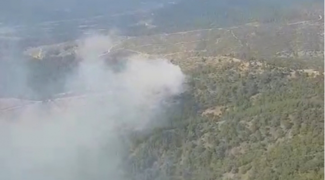Akhisar'da Orman Yangını  