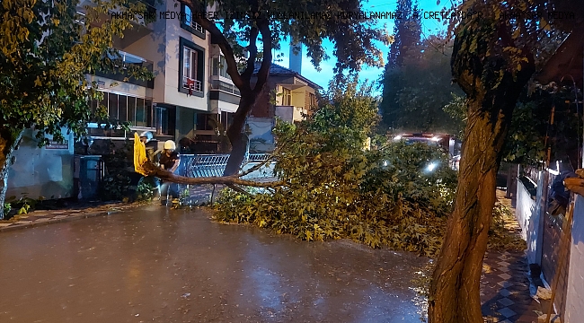 Aşırı yağış ve fırtına Ring yolundaki ağaçları yıktı 