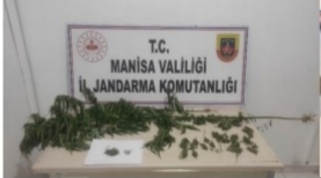  Jandarma'dan Uyuşturucu Operasyonu 