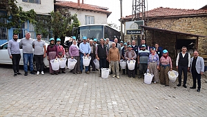 Büyükşehir, Zeytin Hasadında da Üreticilerin Yanında