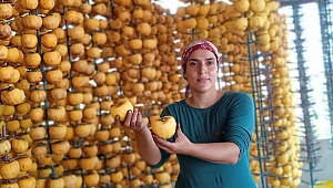 Girişimci Genç Kadın