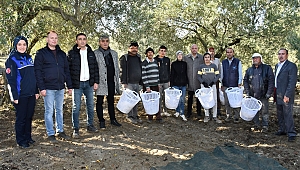 Zeytin Emekçilerine Büyükşehir'den Koruyucu Malzeme