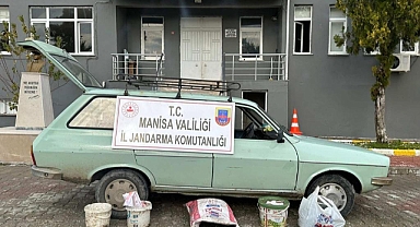 Zeytin Hırsızları Yakalandı