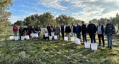 Zeytin Budamasındaki Tarım Emekçilerine Büyükşehir’den Destek