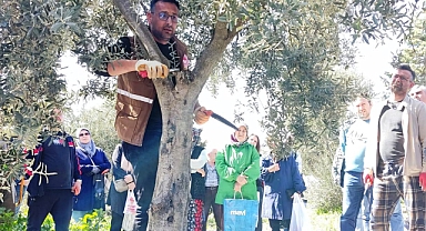 Zeytin Budama Kursları Yoğun Talep Görüyor